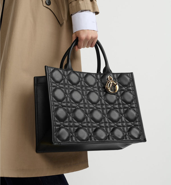Sac Dior Book Tote Medium