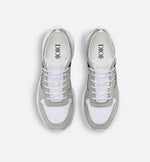 Dior B25 Grey