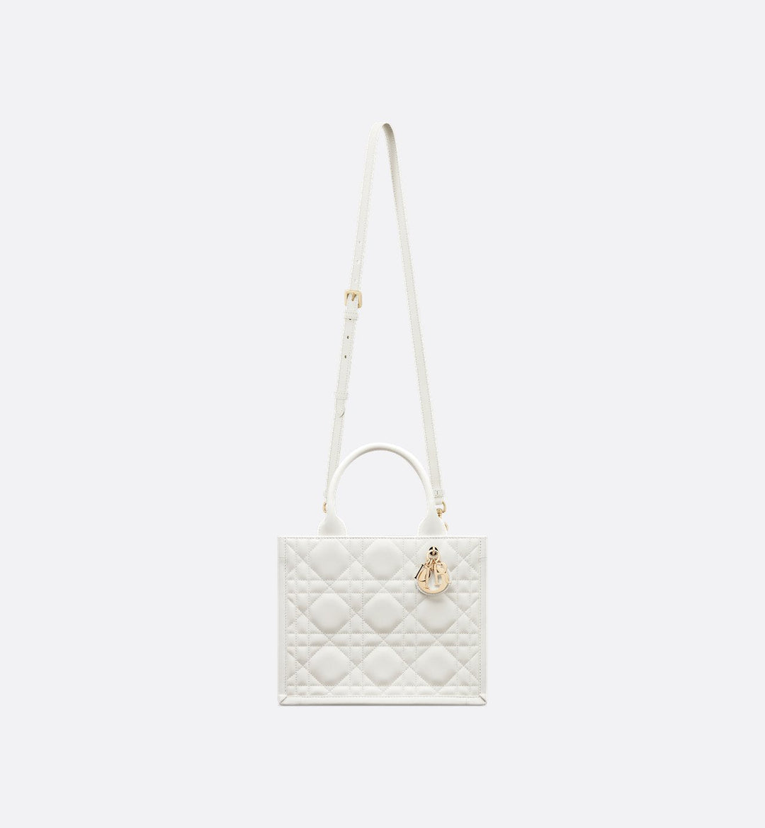 Sac Dior Book Tote Small