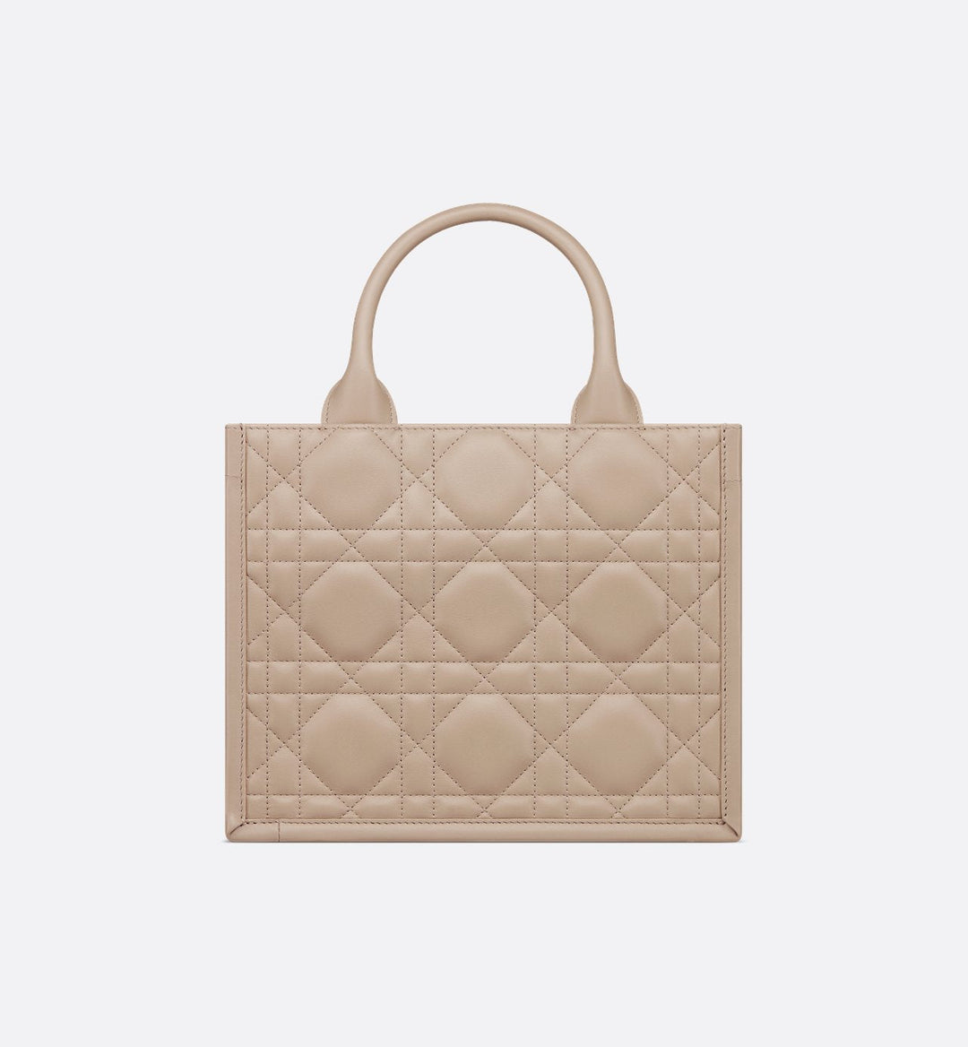 Sac Dior Book Tote Small