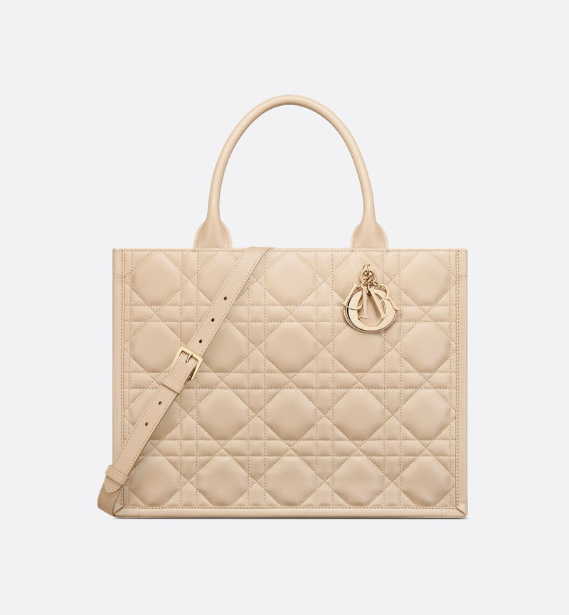 Sac Dior Book Tote Medium