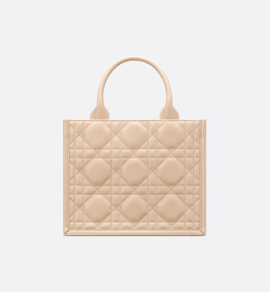 Sac Dior Book Tote Small