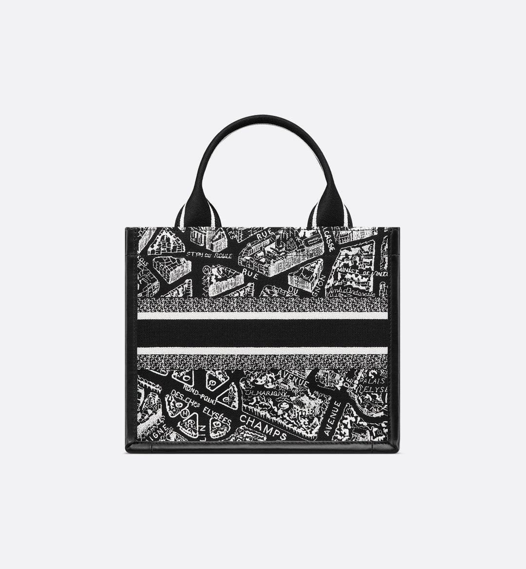 Sac Dior Book Tote Small