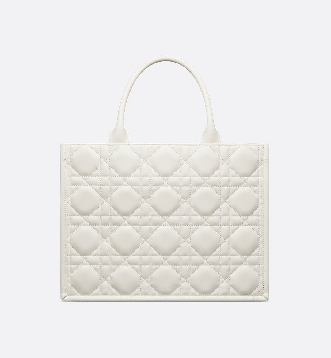 Sac Dior Book Tote Medium