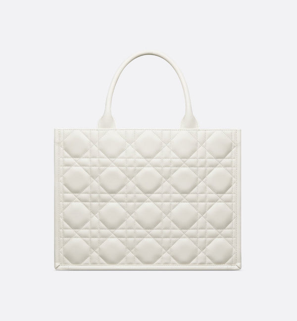Sac Dior Book Tote Medium