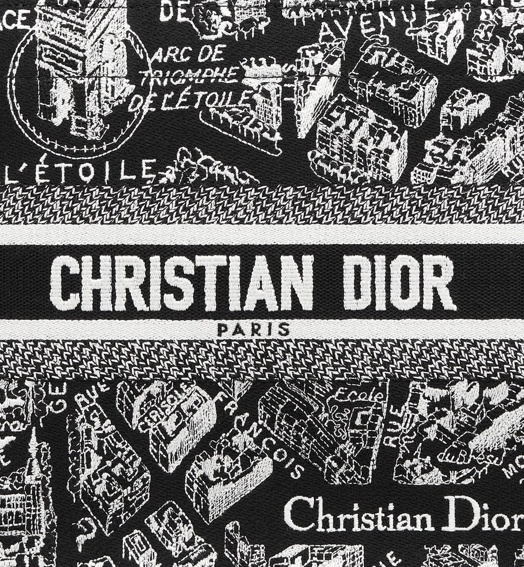 Sac Dior Book Tote Small