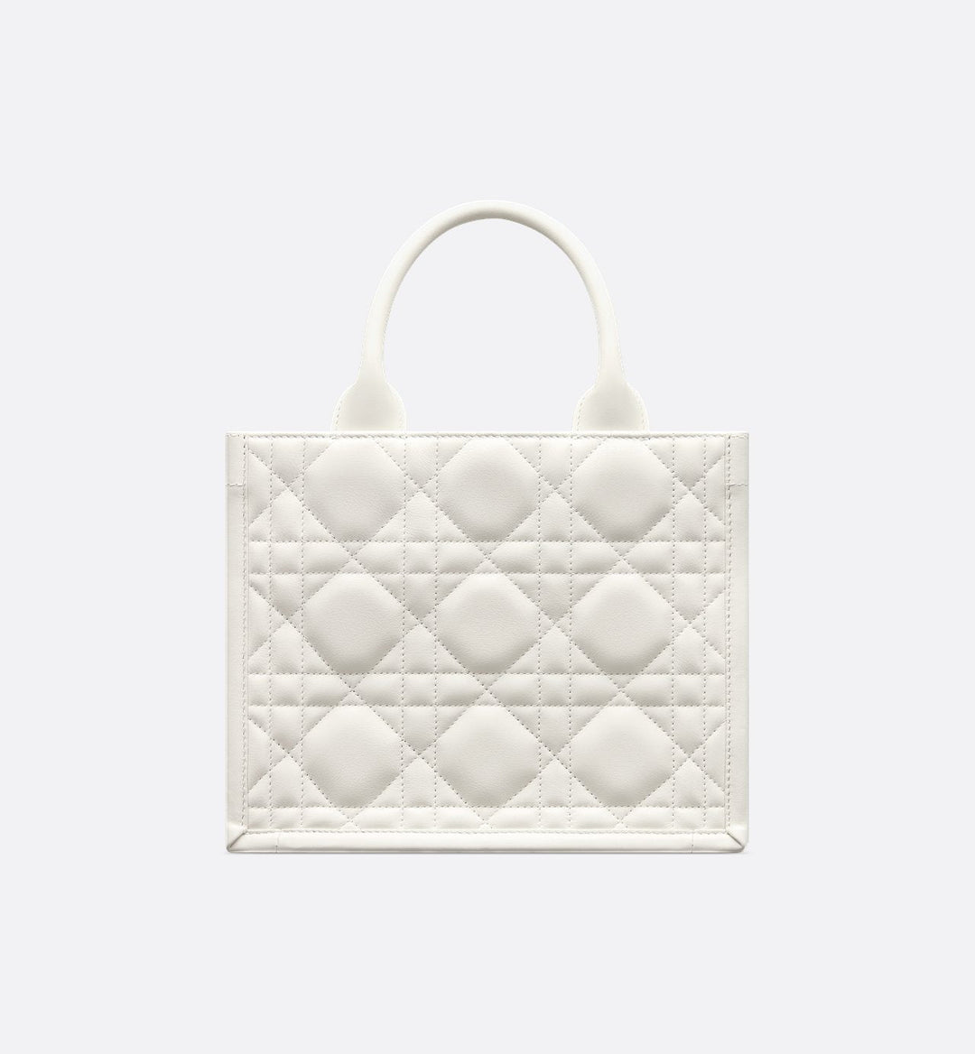 Sac Dior Book Tote Small