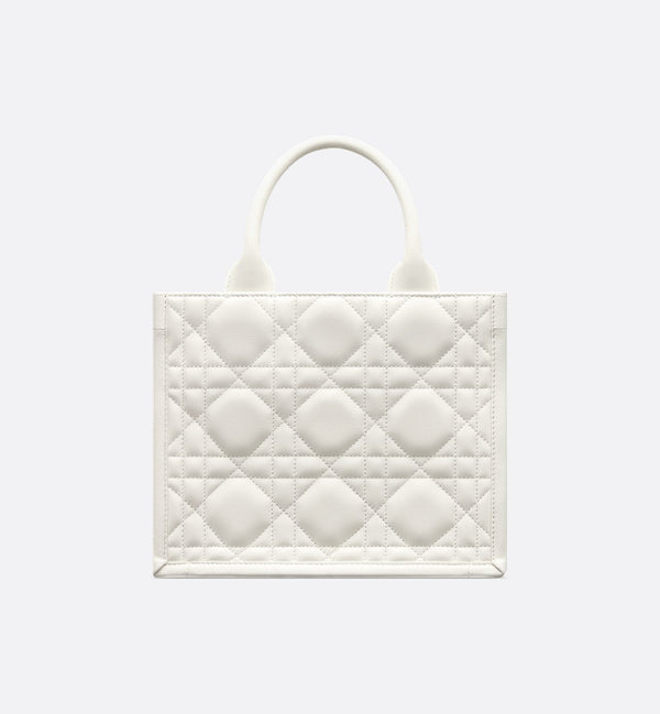 Sac Dior Book Tote Small