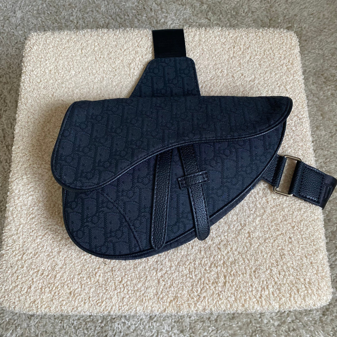 Saddle Dior
